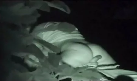 தேன் புதர் (பகுதி uheggjdjt gjhyj ) 2