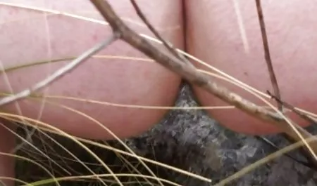 கருங்காலி இந்திய ஆபாச watch free online GF செக்ஸ்