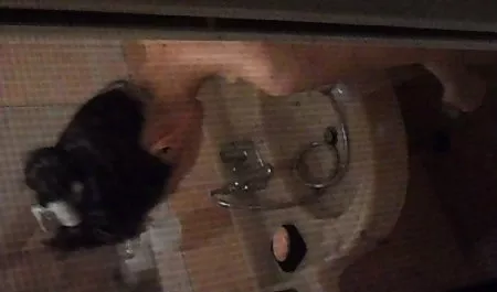 நீண்ட ஹேர்ட் பொன்னிற சேவல் ஏமாற்றுகிறது மற்றும் Fucked பெறுகிறார்.MP4 ஆபாச மட்டுமே இந்திய