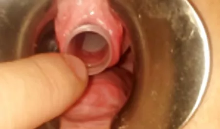 பெண்கள் Loka - பின்னப்பட்ட நரி மிக அழகான இந்திய ஆபாச தெருவில் செக்ஸ் ஒரு மூத்த